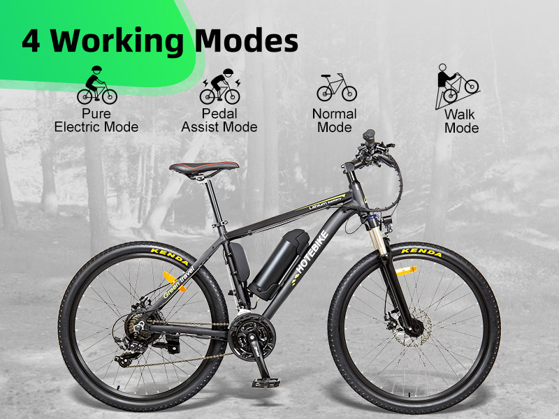 Best Electric Mountain Bike Canada Cheapest Classic 36V Bottle Battery - Christmas Sales Canada - 6