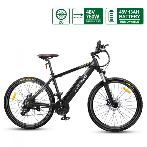 26 inch Adult 750W Electric Mountain Bike Canada for Sale