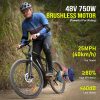 A6AH26 750W 13AH-4