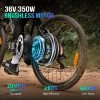 electric bike 350w motor