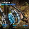 e-bike-36v-250w