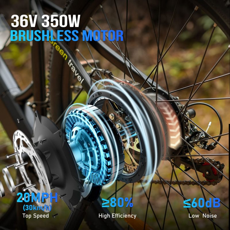 e-bike-36v-250w