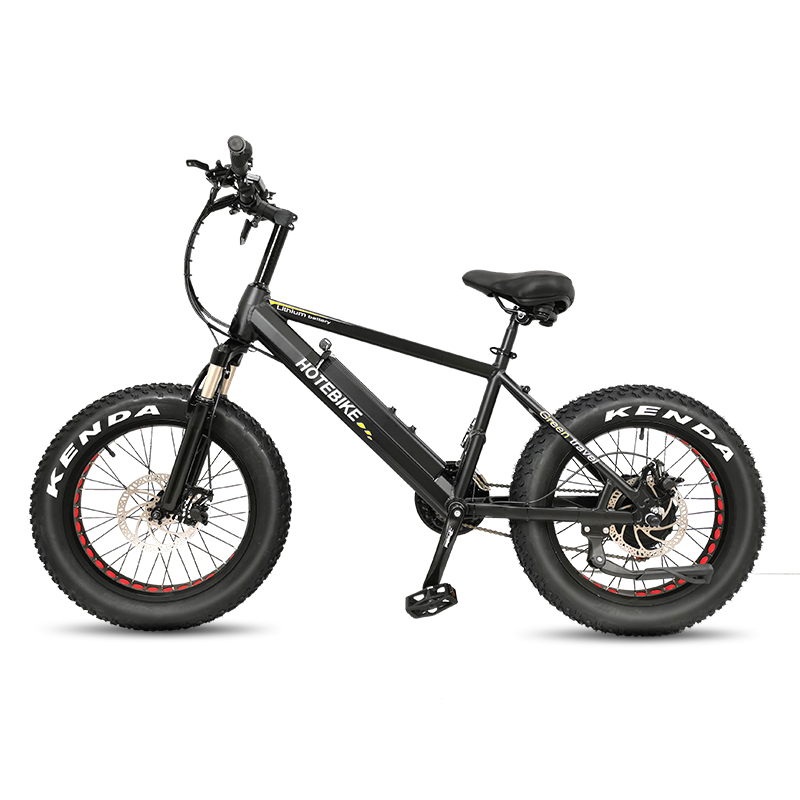 20 inch Fat Tire Electric Bike 48V 750W Motor with 12AH Battery A6AH20F