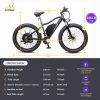 2000w fat bike