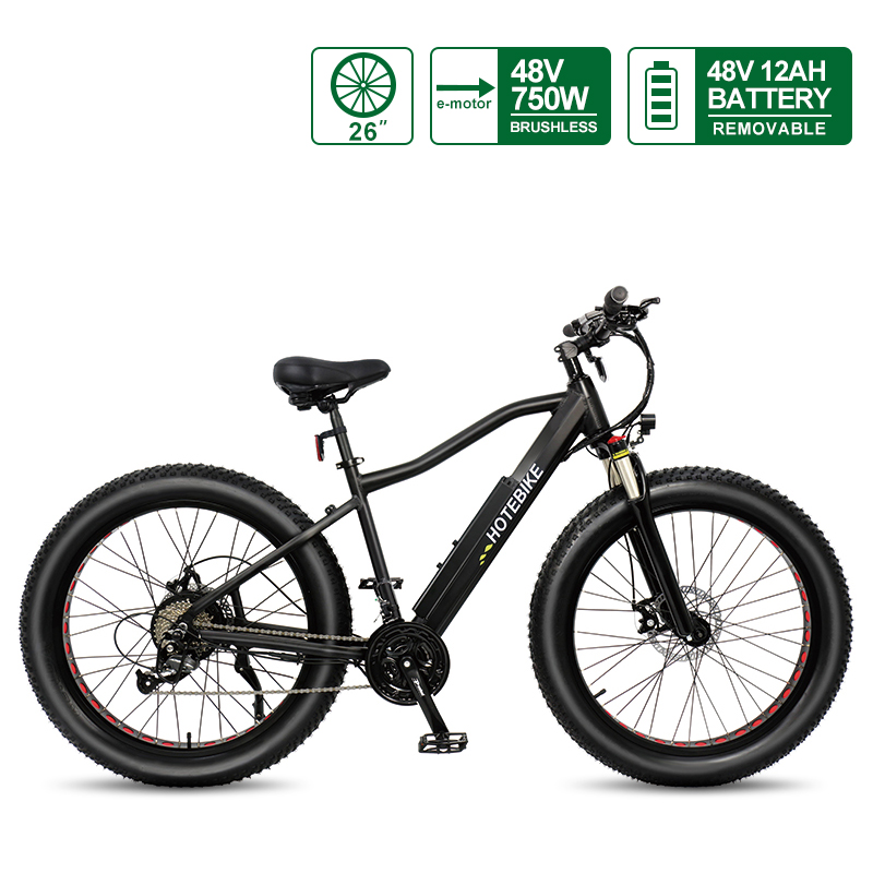 48V 750W Fat Tire Electric Bike Powerful Mountain Bike with 13AH Battery