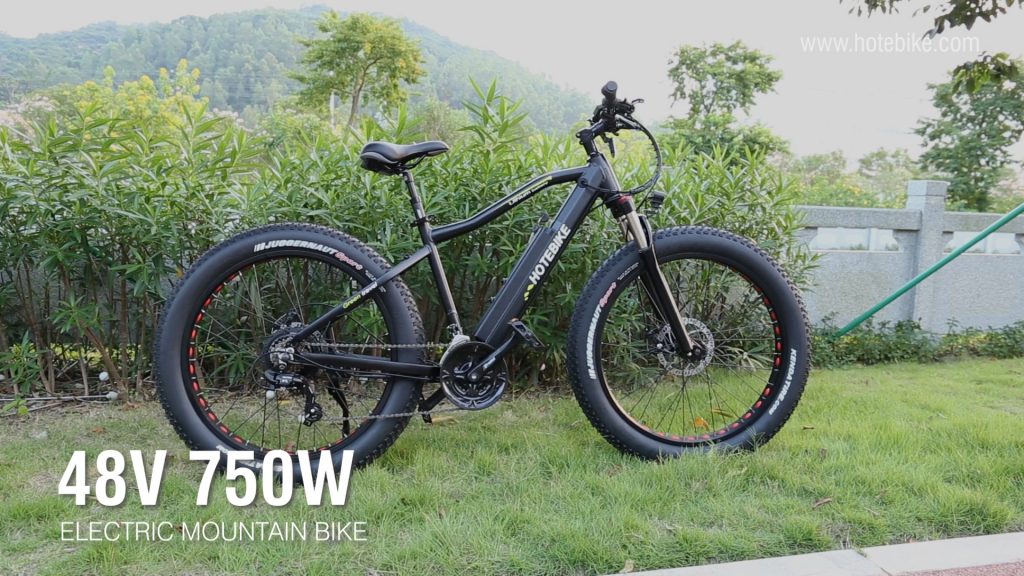 48V 750W Fat Tire Electric Bike Powerful Mountain Bike A6AH26F