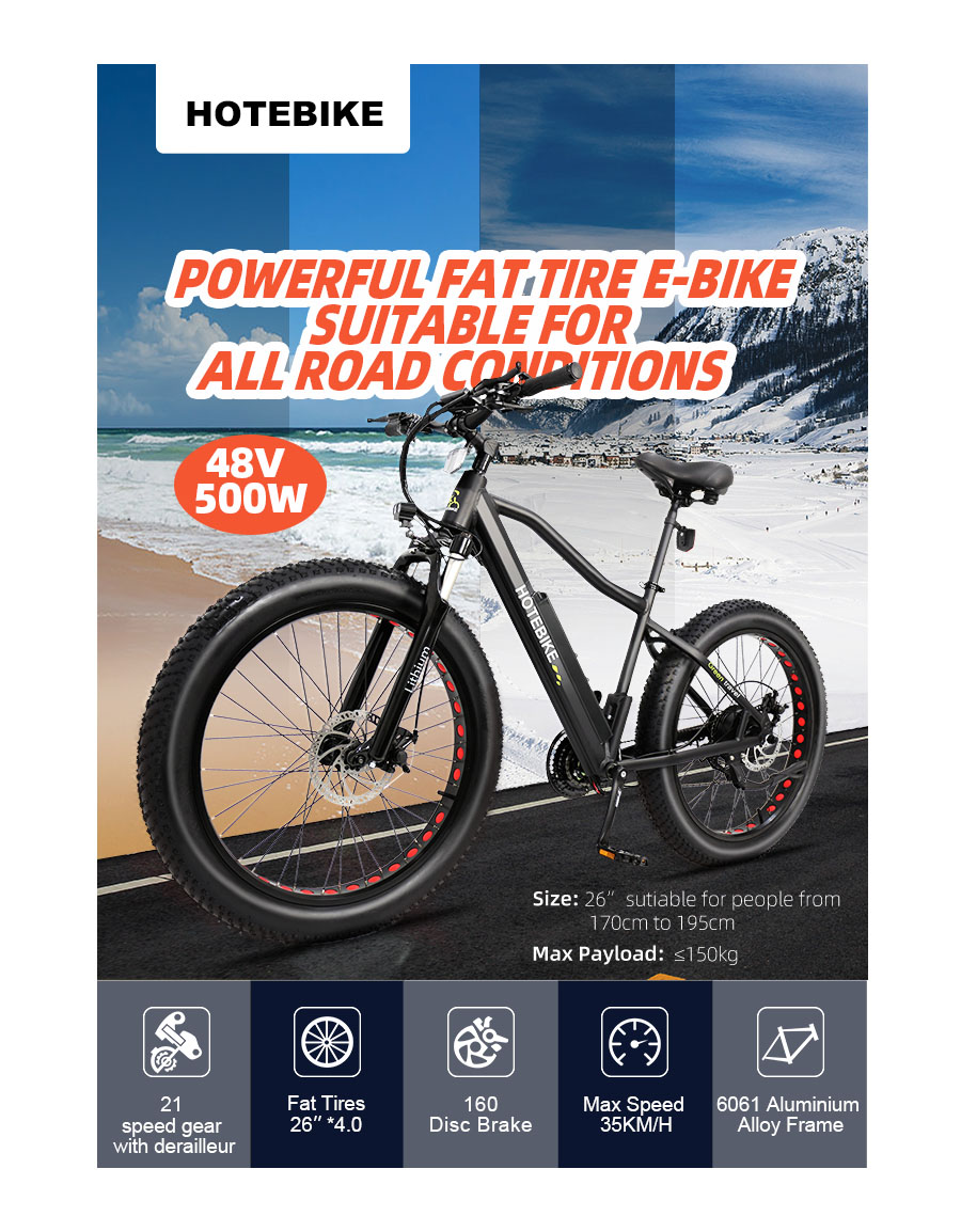 Electric Fat Tire Bike 26