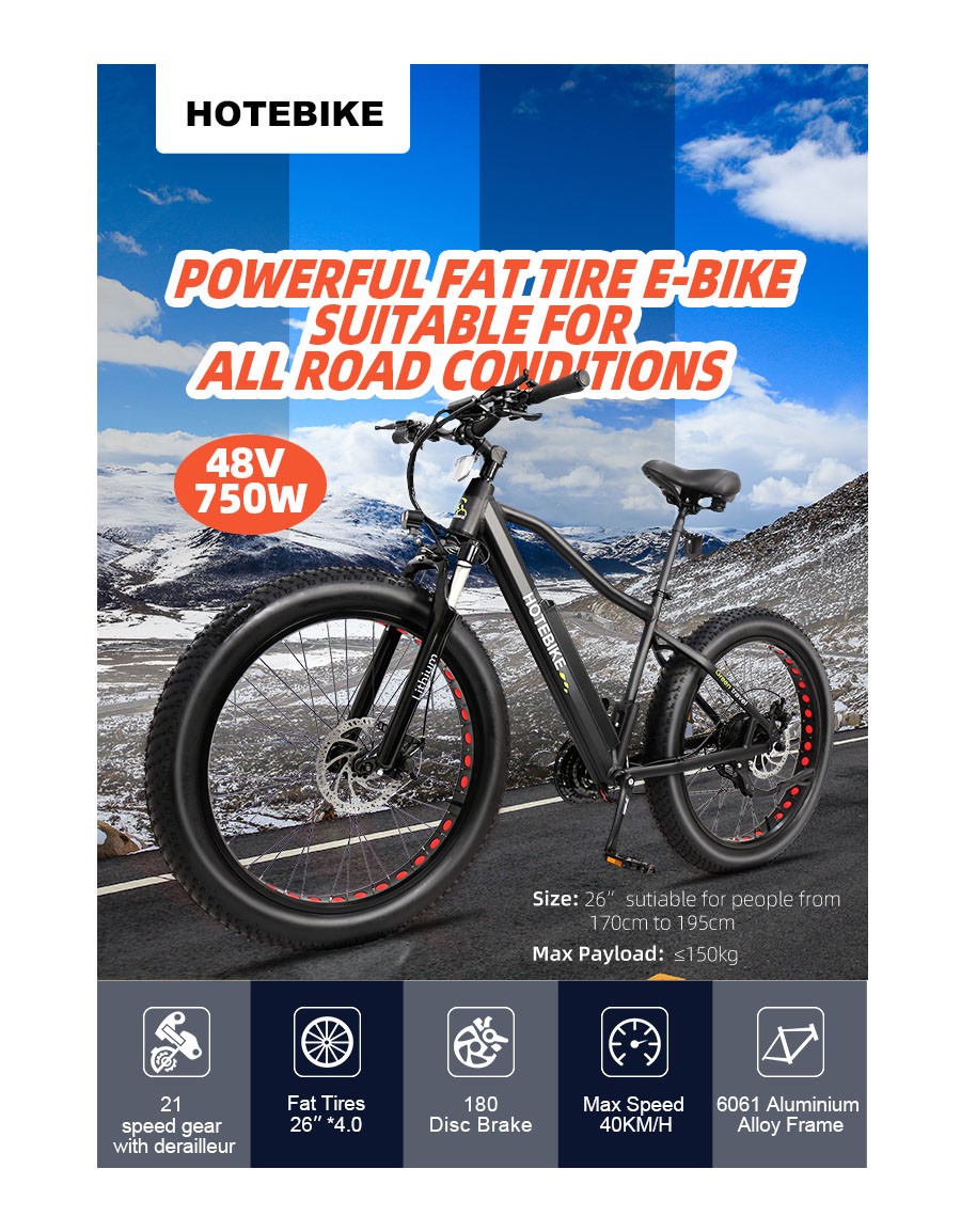 48V 750W Fat Tire Electric Bike Powerful Mountain Bike with 13AH Battery - Fat Tire Electric Bike - 1
