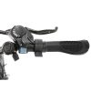 electric motor bike