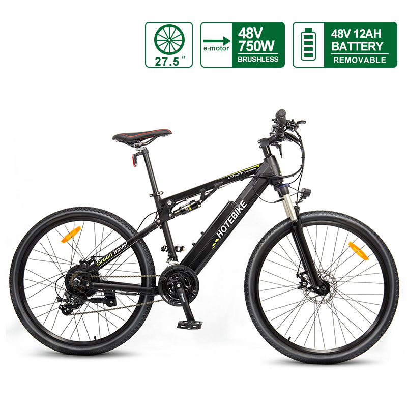 Full Suspension Electric Bike 750W Mountain bicycle with Quick-release Battery