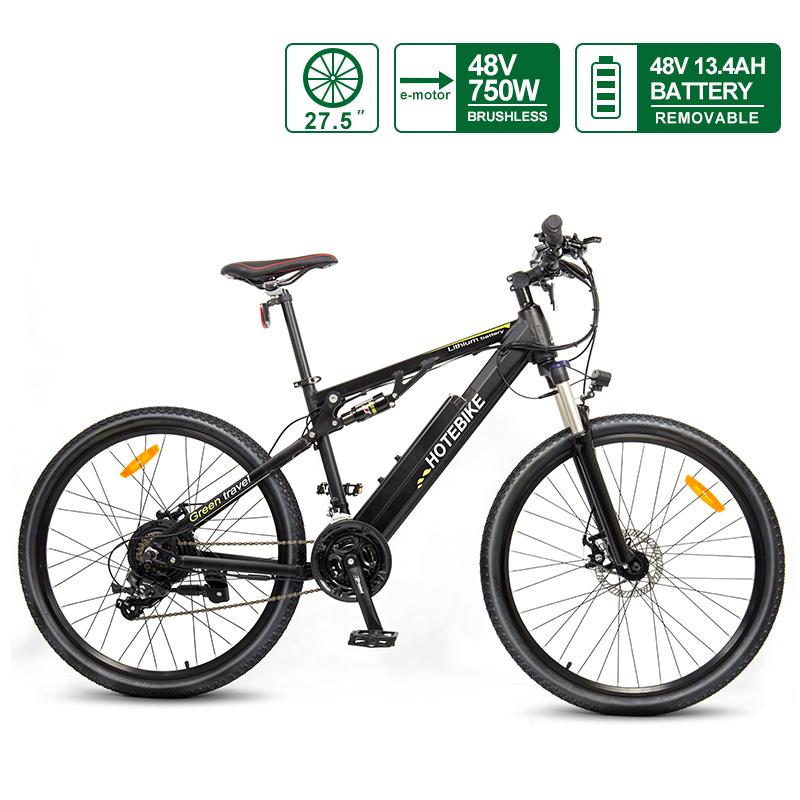 Electric Bike Full Suspension Bicycle 48V 750W with 48V Battery