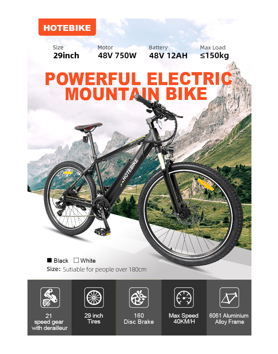 48V 750W electric powered bike 29*2.1 inch specialized electric bike for sale - Mountain Electric Bike - 1