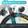 electric bike-3