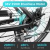 electric bike-4