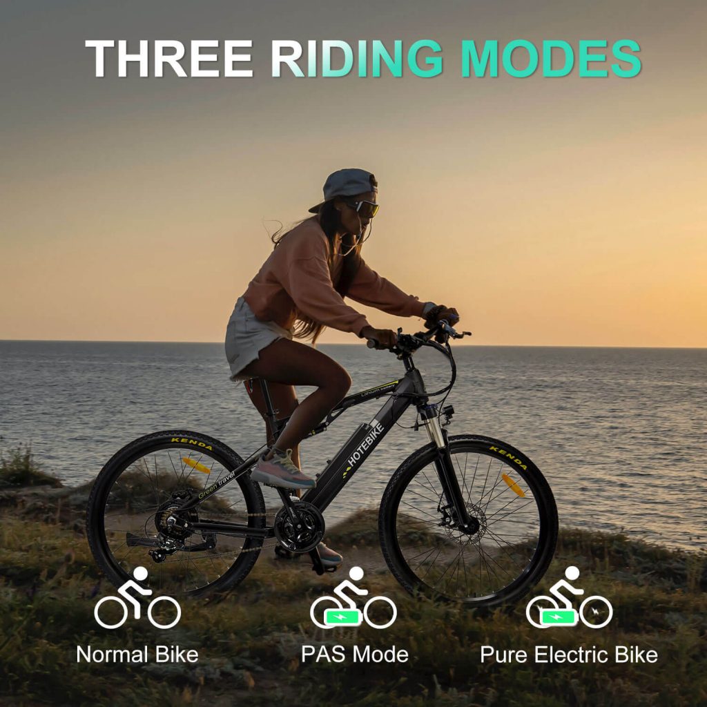 The Ultimate Ride of Full-Suspension eBikes