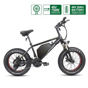 Fat Tire Electric Bike 20 inch Tire 48V 750W Motor 20AH Battery A6AH20F Fat Tire Electric Bike 20 inch Tire 48V 750W Motor 20AH Battery A6AH20F
