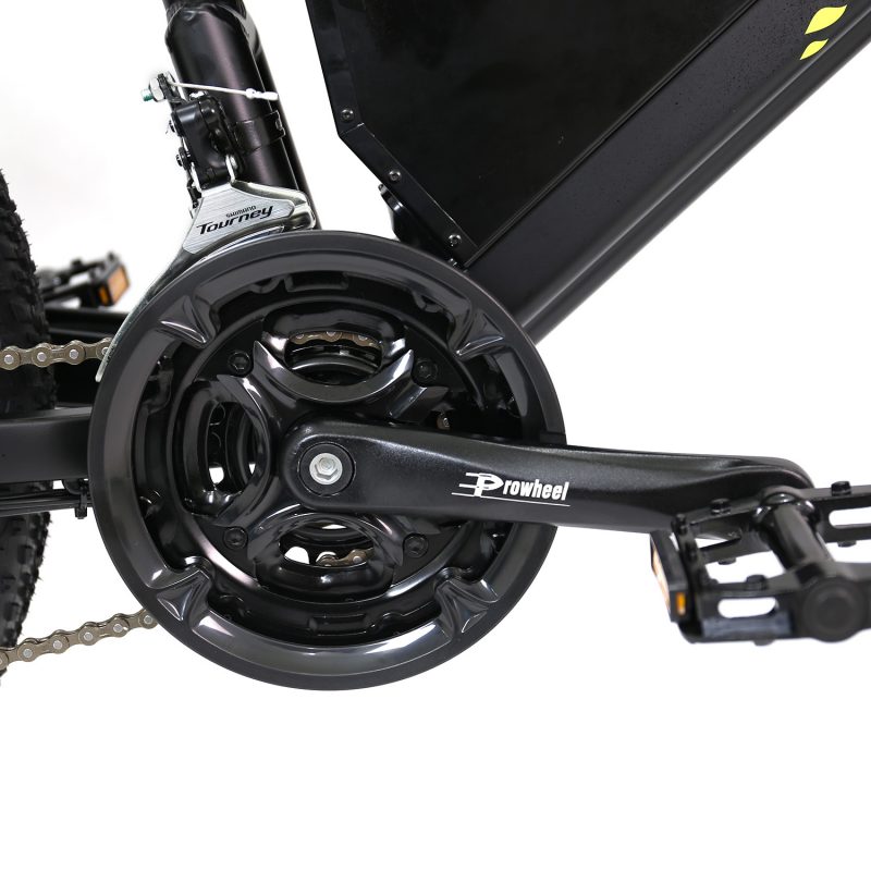 electric fat tire bike