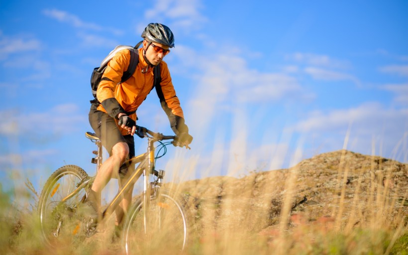 Let us learn about the components of the bicycle together