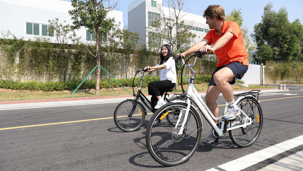 bicicleta elèctrica de la ciutat