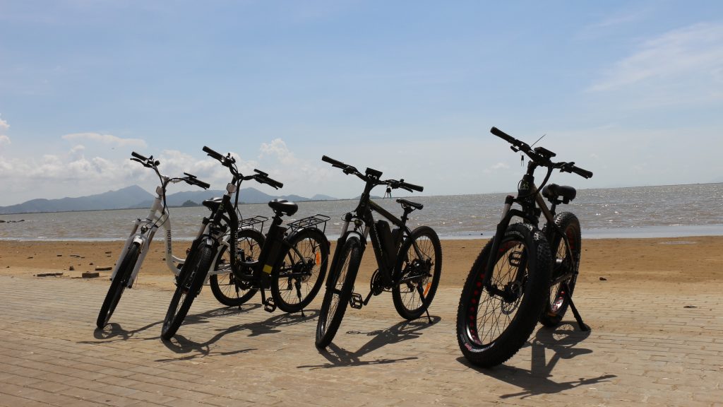 Best Electric Mountain Bicycles
