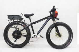 Several types of E-bike motors