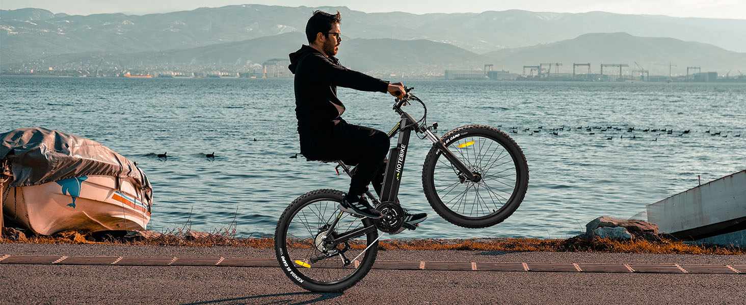 Full Suspension Electric Bike 750W Ebike with 48V 14.4AH Removable Battery