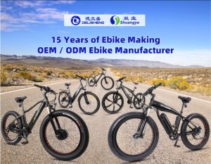 HOTEBIKE E-bike Work Arrangements During The Lunar New Year Holidays
