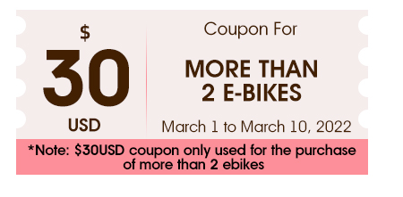 Happy Women's Day! Don't miss the HOTEBIKE promotion! - News - 15