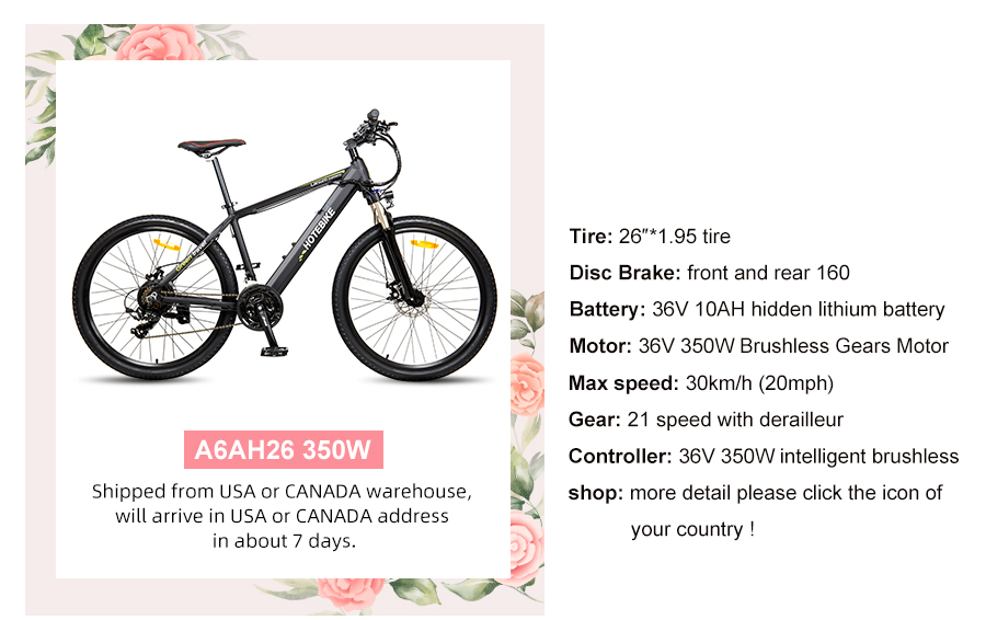 Happy Women's Day! Don't miss the HOTEBIKE promotion! - News - 23