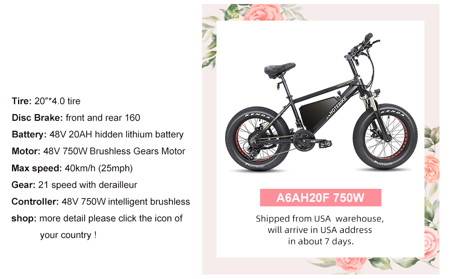 Happy Women's Day! Don't miss the HOTEBIKE promotion! - News - 63