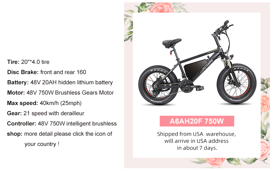 What are triangle electric bike batteries - blog - 2