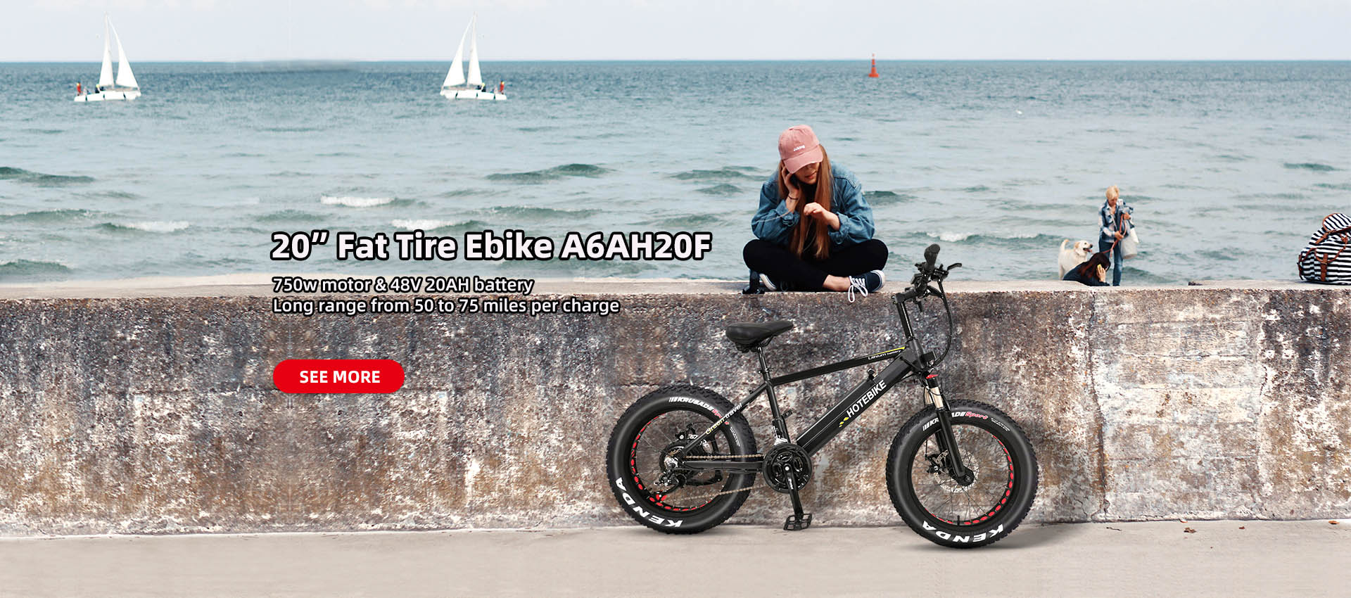 How To Choose An Electric Bike？ hotebike