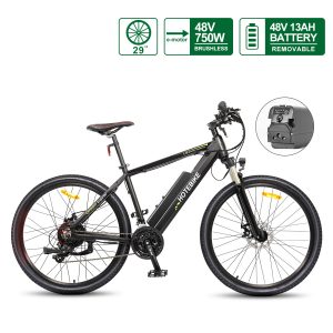 29 Inch 48V Electric Mountain Bike With 21 Shimano Speed gears