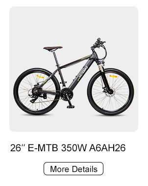 전기 자전거