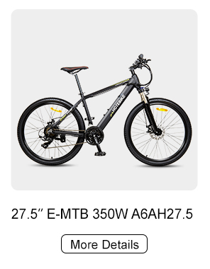 električni bicikl