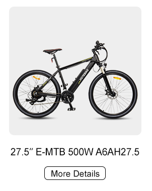 Ebike