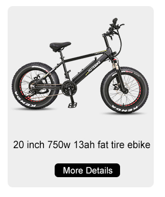 뚱뚱한 타이어 전기 자전거