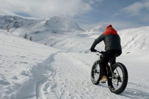 What Is The Electric Fat Tire Ebike Good For? - blog - 4