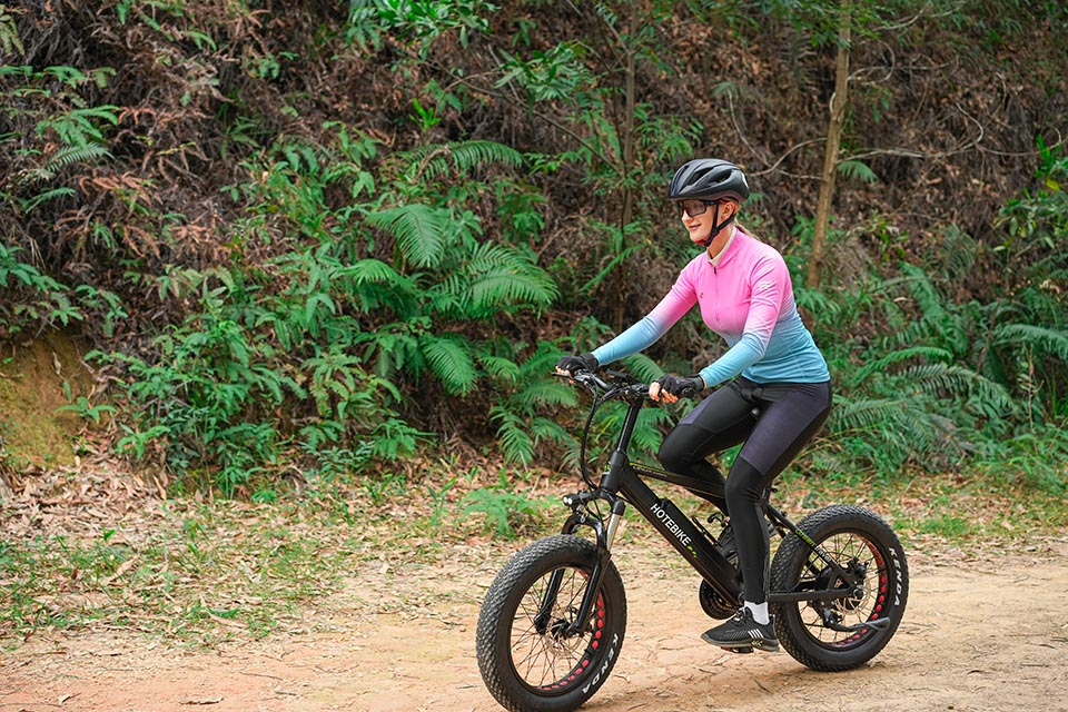 Bicicleta eléctrica Fat de 20 polgadas