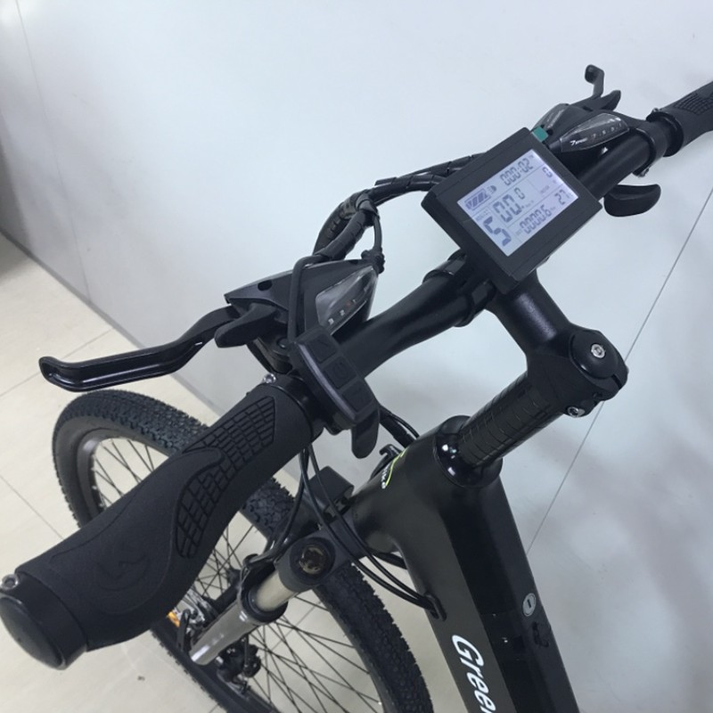 Electric Bike--Ready to Ride this Spring - blog - 5