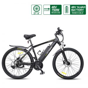 Mountain Ebike Torque Sensor Shimano Electric Adult Bicycle Powerful 750W 48V