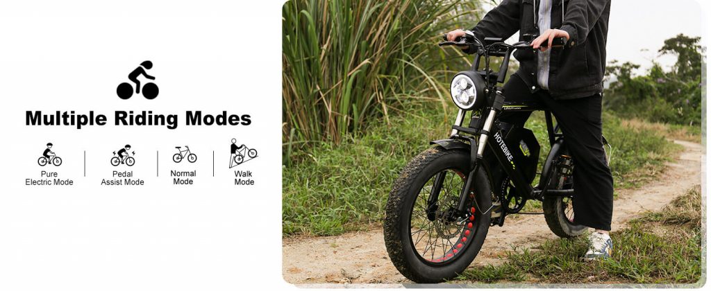 48V 1000W Fat Tire Electric Dirt Bikes for Adults Adapt to All terrain - Spring Sale in the USA - 2