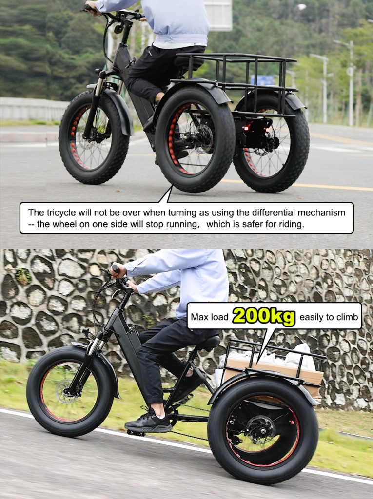 3 Wheel Electric Bike 20 inch 750W Fat Tire Electric Tricycle - Electric Bike USA - 7