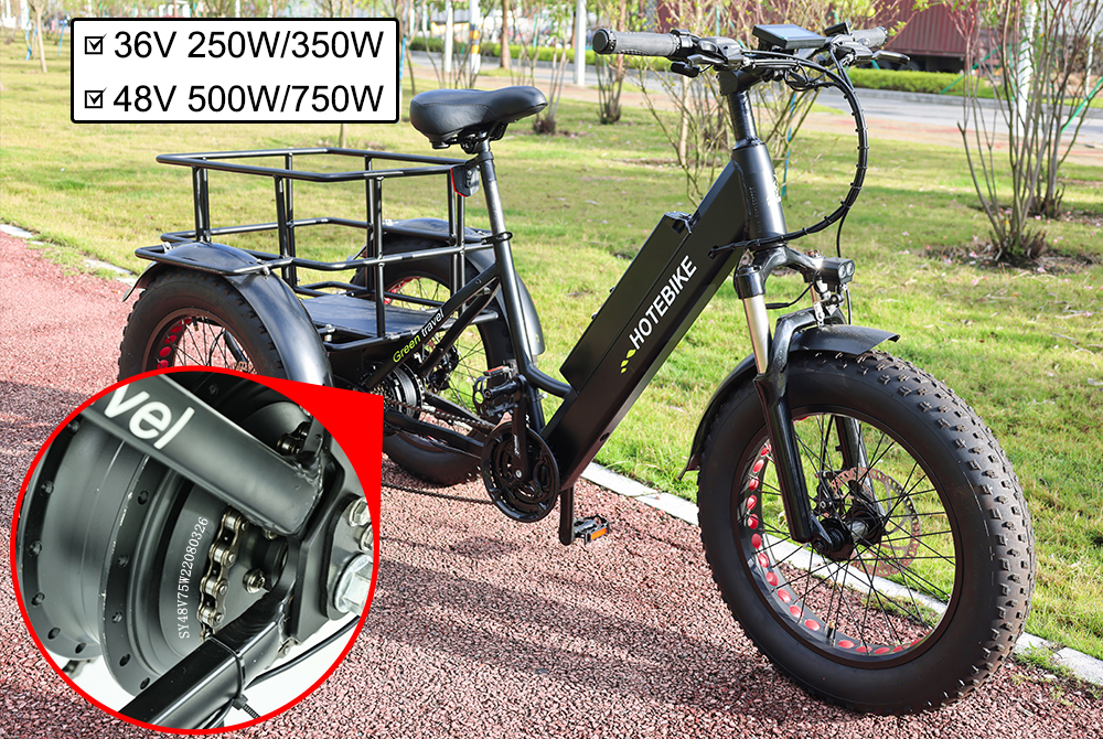 3 Wheel Electric Bike 20inch Fat Tire Electric Tricycle Adult Cargo Electric Bike - Electric Bike USA - 2