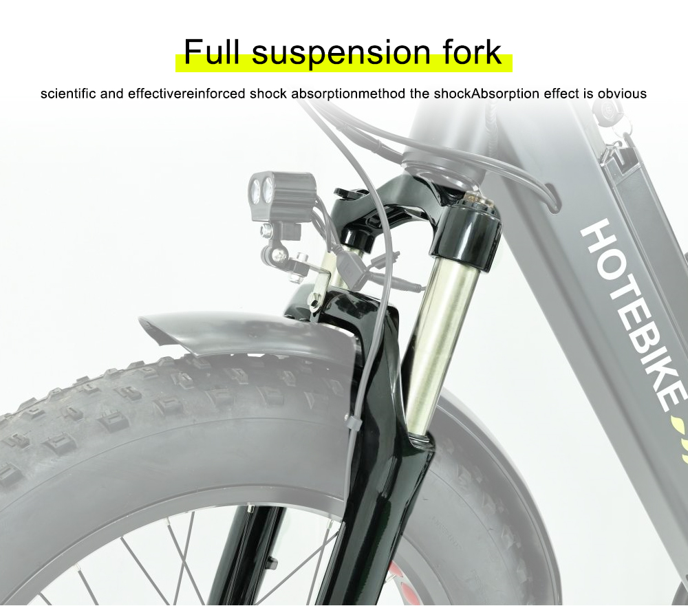 3 Wheel Electric Bike 20 inch 750W Fat Tire Electric Tricycle - Electric Bike USA - 2