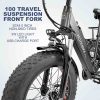 ebike 750w powerful stable three wheels