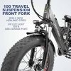 3 Wheel Electric Bike for Adult with 750W Motor
