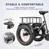 ebike 750w powerful stable