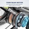 3 Wheel Electric Bike for Adult with 750W Motor