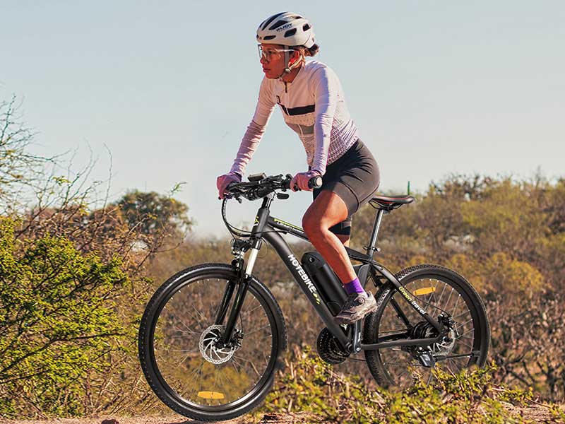 Exploring the Weight of Electric Bikes - blog - 3